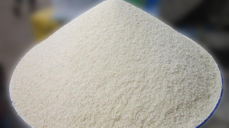 Gari