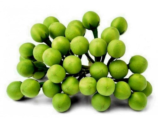 Abeduru - Turkey Berry