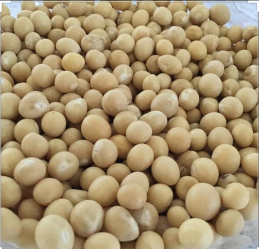 Beans - Bambara