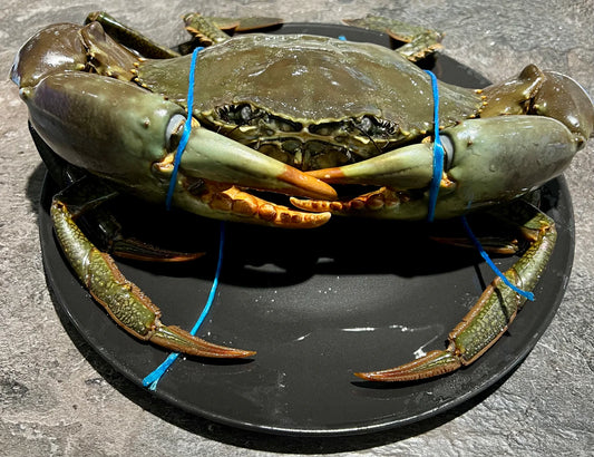 Crab