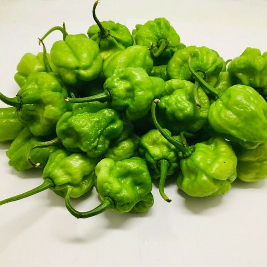 Scotch Bonnet Pepper (Green)