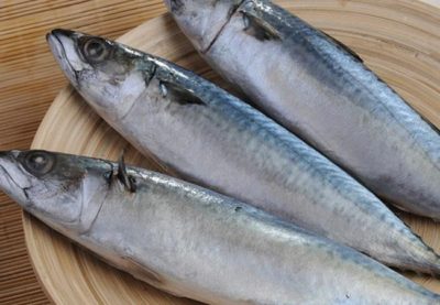 Salmon - 1Kg