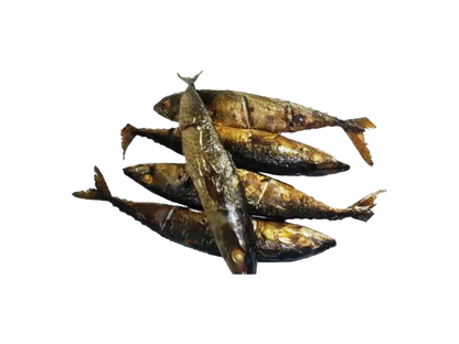 Smoked Tuna