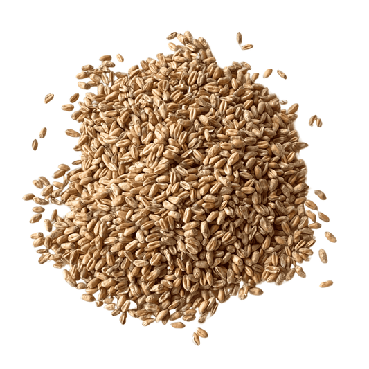 Wheat - Milled