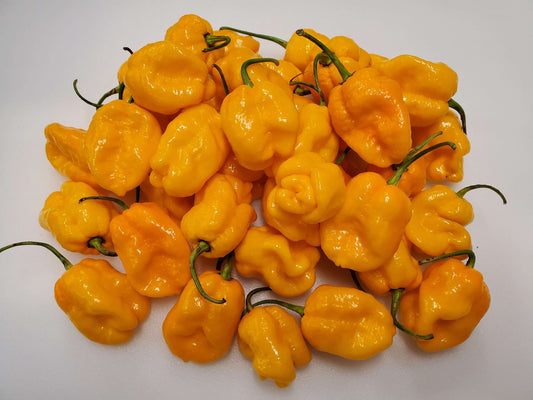Scotch Bonnet Pepper (Yellow)