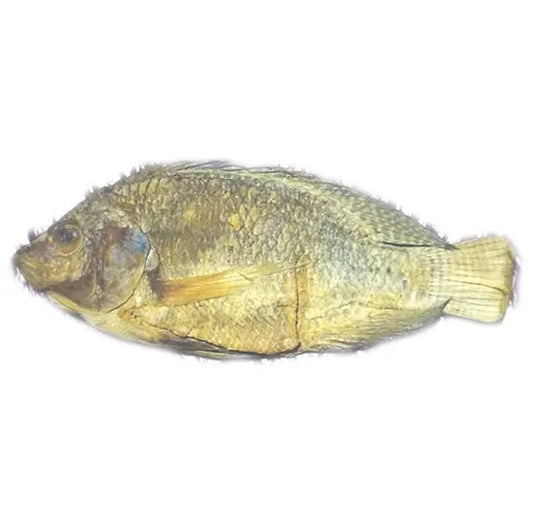 Koobi – Salted Tilapia